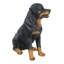 Statue assis rottweiler