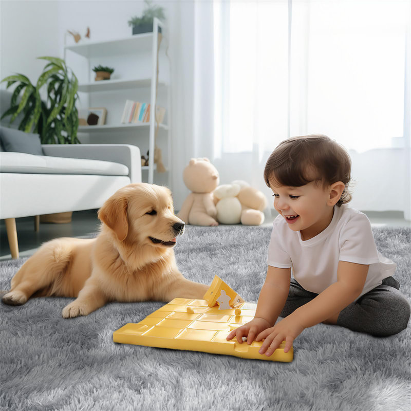 Aviyan 230cm X 230cm Area Rug