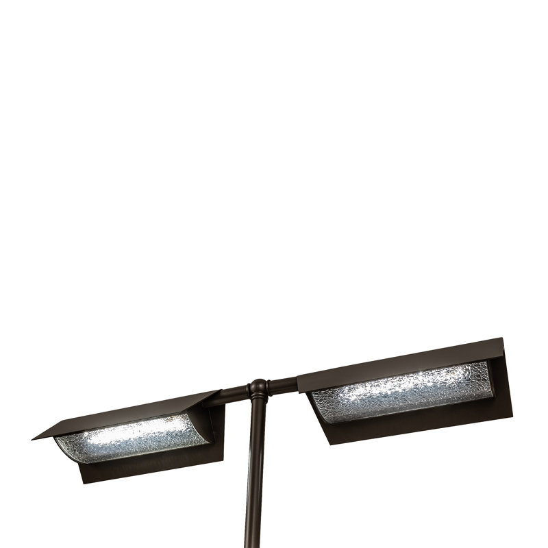 25" Wide Exeter 2 Light Banker's Lamp