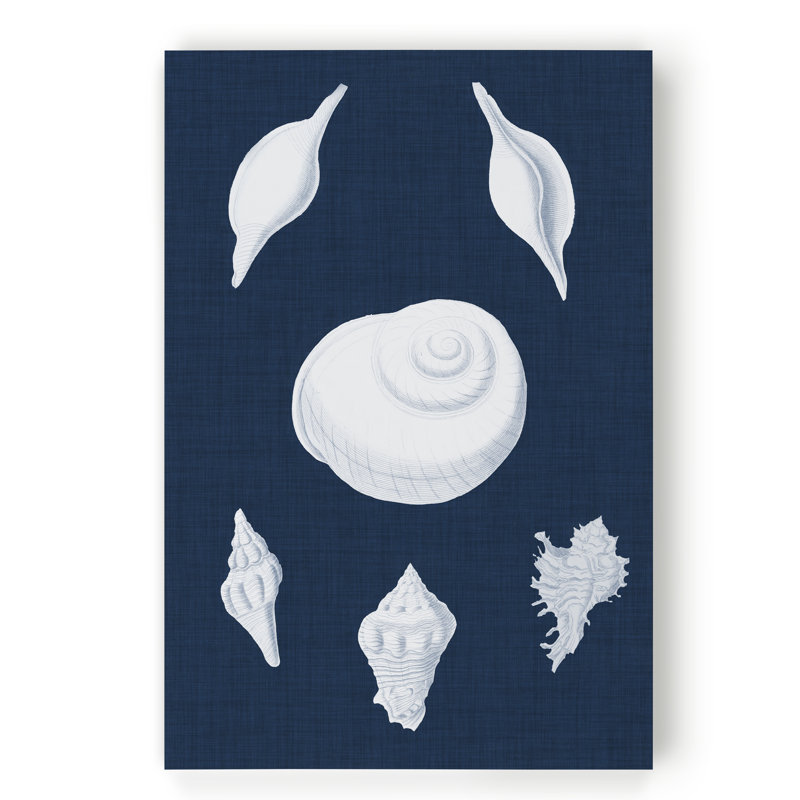 « coquillages blancs iv », impression sur toile, H 12 po x l 8 po x P 1 po, Toile tendue