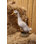 Duck Statue