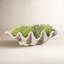 Handmade Planter-13913315