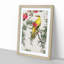 Bush-Warbler & Drooping Peach by Numata Kashu - Picture Frame Art Print-55680390-55680396