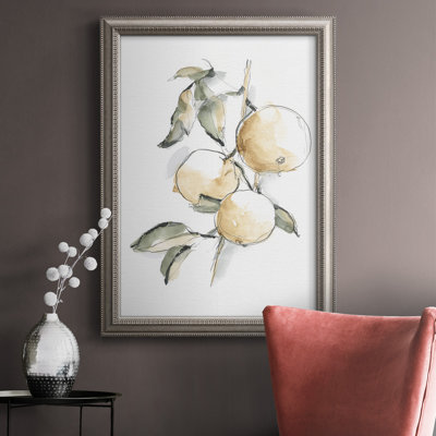 " Watercolor Fruit Contour II "