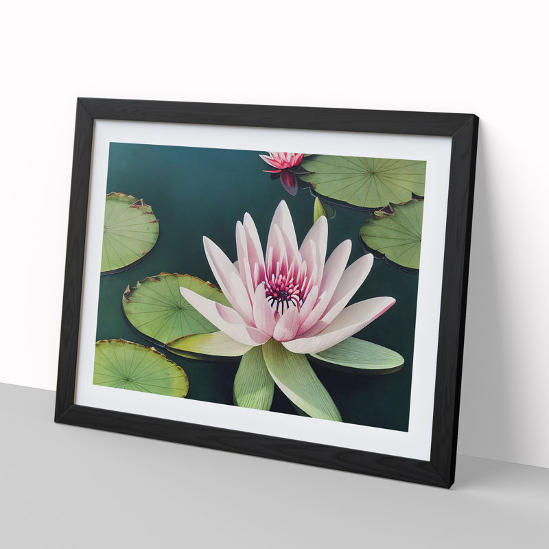 Angelical Water Lily Flowers - Single Picture Frame Print, 46cm H x 64cm W x 2cm D, Black Framed
