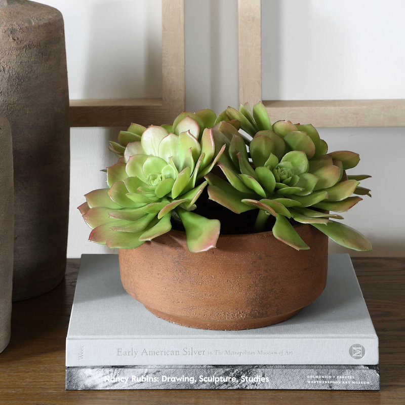 Uttermost Sable Succulent Accent In Pot