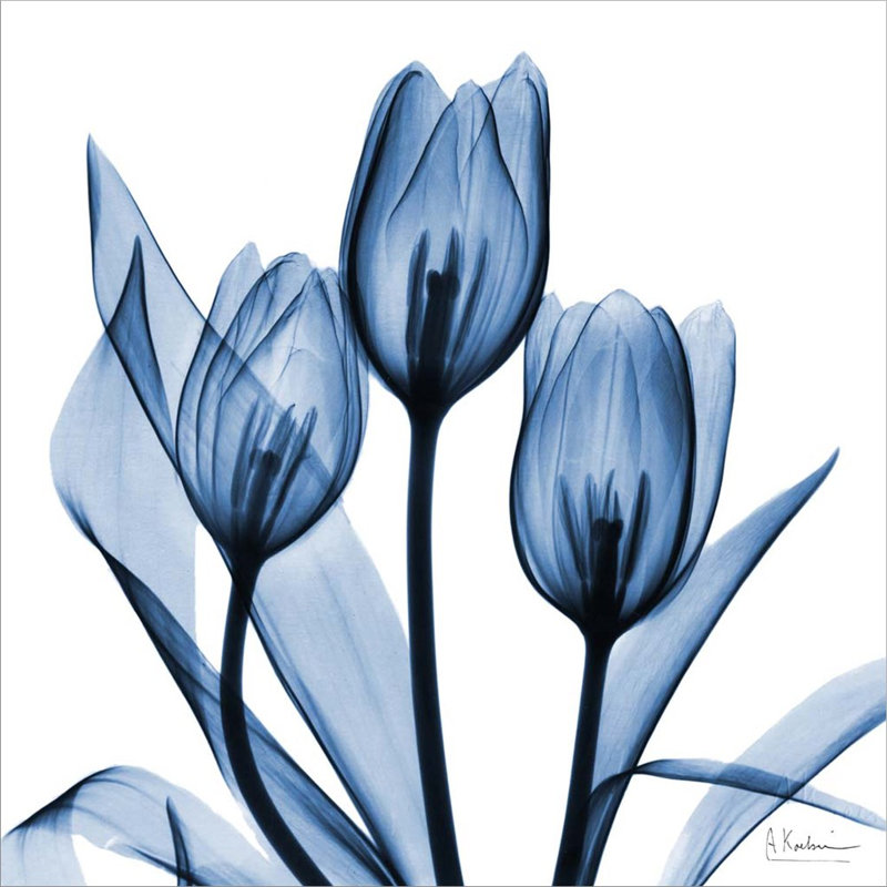 Décoration murale tulipes