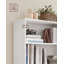 Pelak Bookcase-641599921-625820156