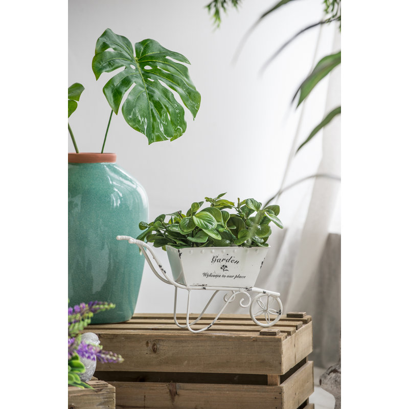 Pot à fleurs décoratif brouette - 11,5 po x 4 po x 7 po - blanc