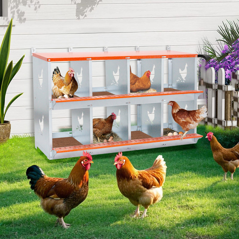 Boîte à nid en métal à 8 compartiments pour poules et canards, facile à assembler et à nettoyer