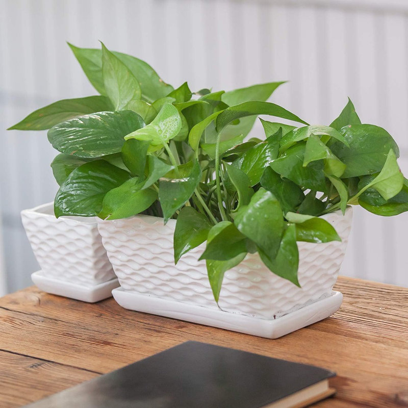 Flower Pots,Rectangular Modern White Ceramic Succulent P...