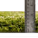 Red Barrel Studio® Ruby Trellis Shag Rug Green