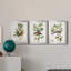 Oiseau antique, botanique et œuf I - ensemble de 3 peintures sur toile encadrées-1128397846-1128397840