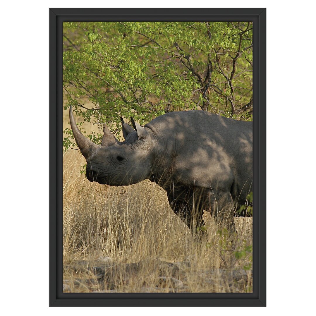 Gerahmtes Wandbild Nashorn in der Savanne