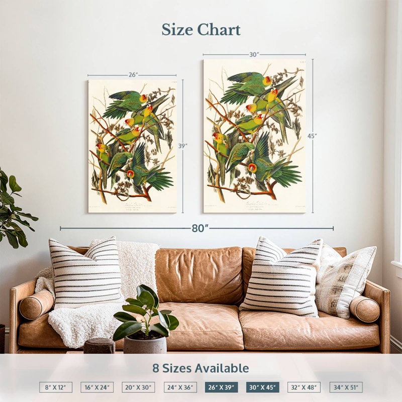 Brampt Carolina Parakeet, 39" H x 26" W