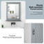 Allida Vanity Mirror