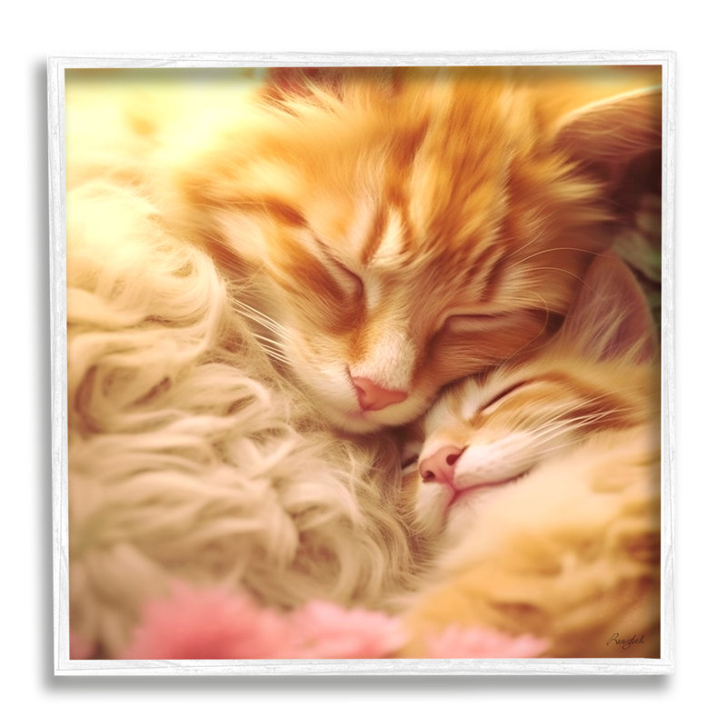 «Sleeping Orange Cats» par Roozbeh, reproduction de photo sur toile, Estampe numérique encadrée blanc bord de mer