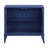 Blue 2-Door Console Cabinet