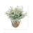 Eucalyptus Arranged in Decorative Ceramic Vase