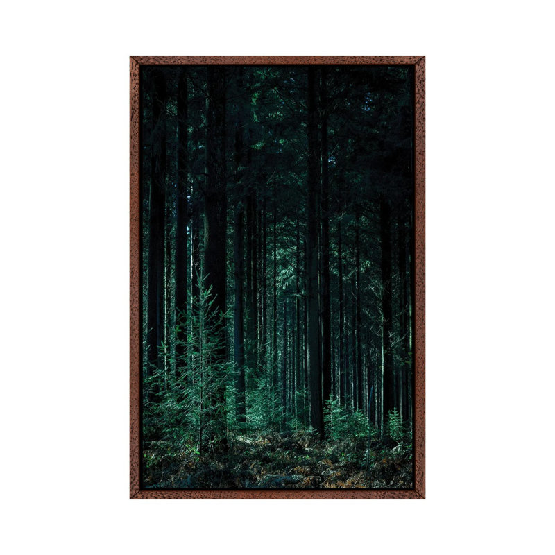 Deep Green - Print on Canvas, Classic Brown Wood Framed, 66.04 cm H x 45.72 cm W