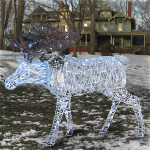 Outdoor Christmas Moose Lights | Wayfair