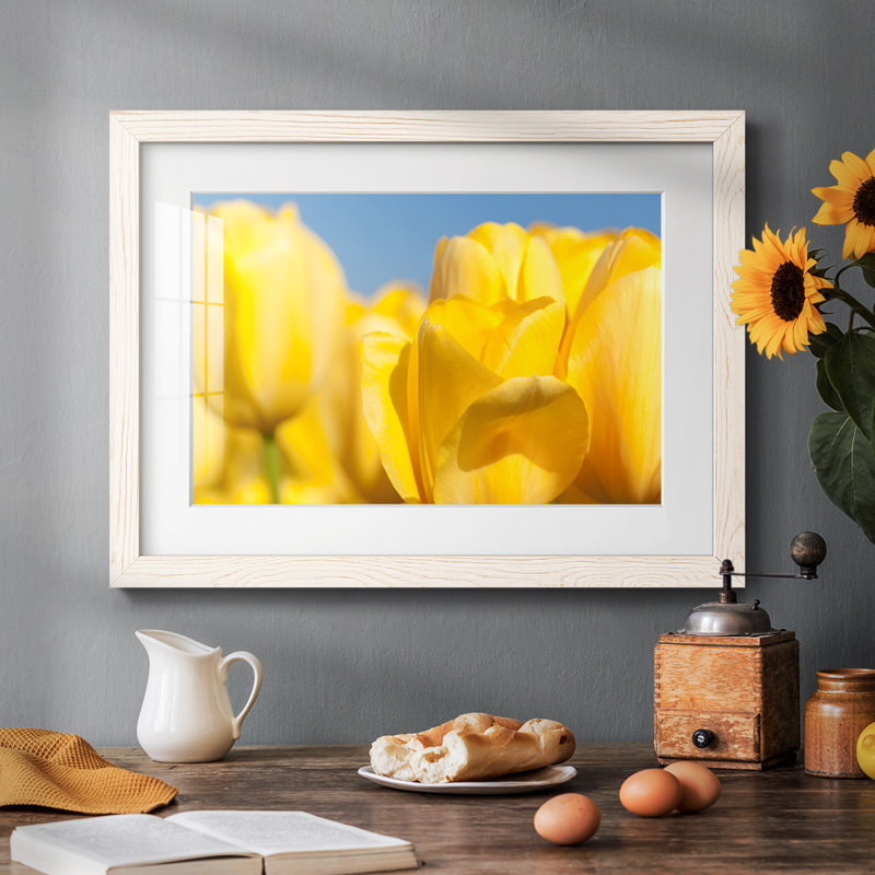 Sunshine Yellow I, reproduction encadrée sur papier, Blanc, H 28 po x l 42 po x P 1,5 po