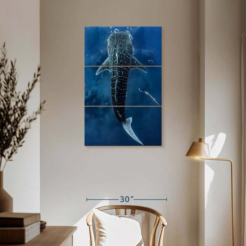 Brampt Spotted Whale Shark, 57" H x 36" W