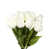 Blanc est en rupture de stock