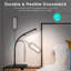 Davuan Desk Lamp