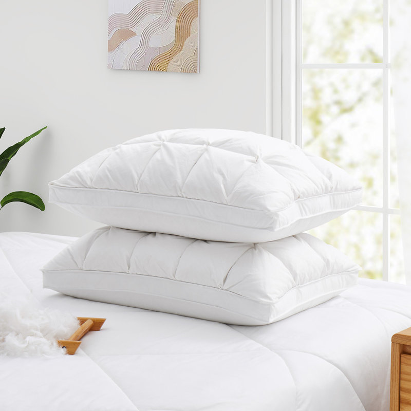 Oreillers luxueux en plumes blanches, 34 po x 18 po