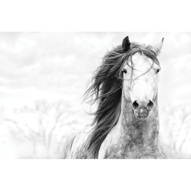 Teah Spirit by PHBurchett - Wrapped Canvas Photograph, 30 cm H x 46 cm W