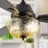 42"W Cecily LED Indoor Amber Swirl Hand-Cut Glass Ceiling Fan With Remote Control-1013585997