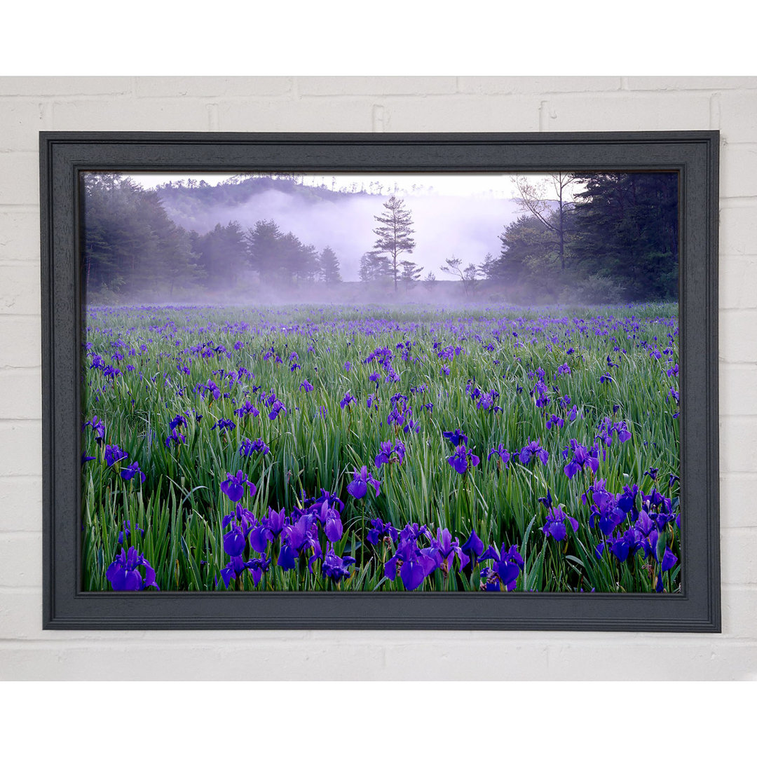 Bluebell Mist Gerahmter Druck Wandkunst