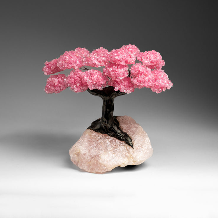 Custom - Genuine Rose Quartz Clustered Gemstone Tree On Rose Quartz Matrix (Unconditional Love Tree)
