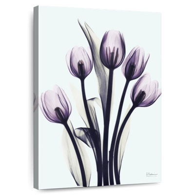 Harnek Essentially Tulips