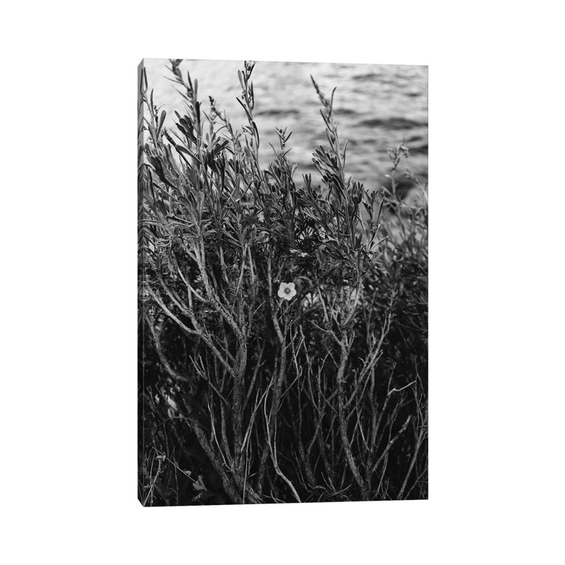 Tenaya Lake, Yosemite National Park II by Bethany Young - Print on Canvas, Wrapped Canvas, 66.04cm H x 45.72cm W x 1.91cm D