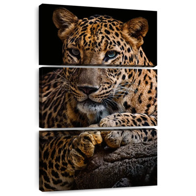 Léopard sur une bûche