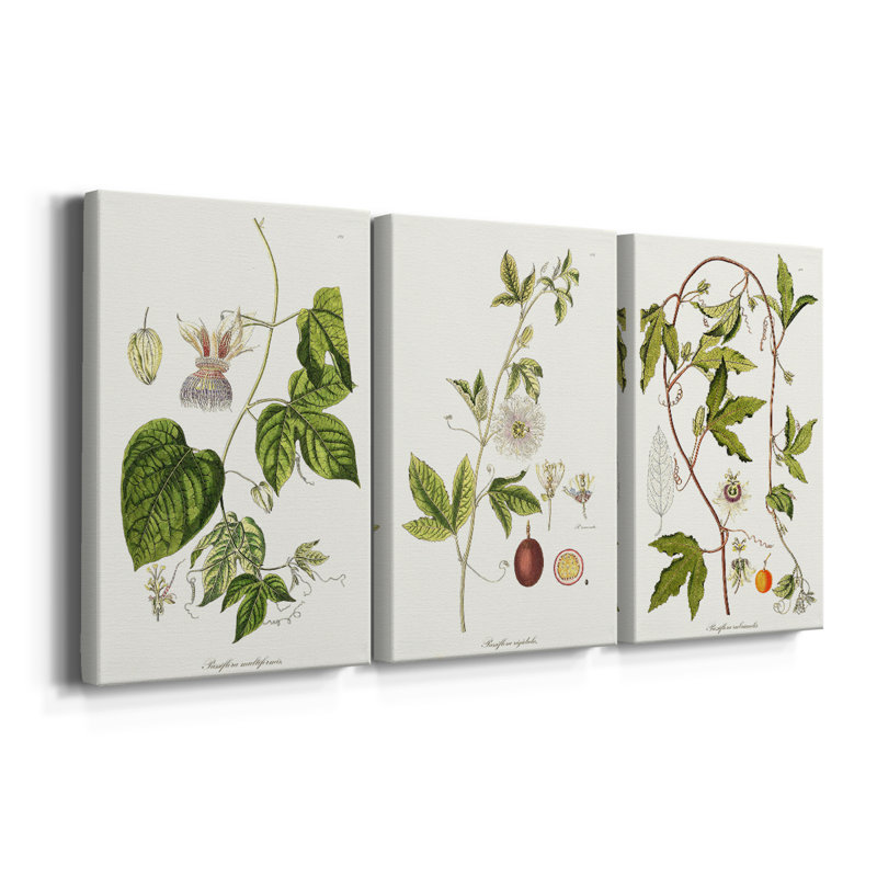 Passion Flower Trio I - Toile tendue avec châssis sur mesure - 3 pièces