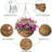 Hanging Planter