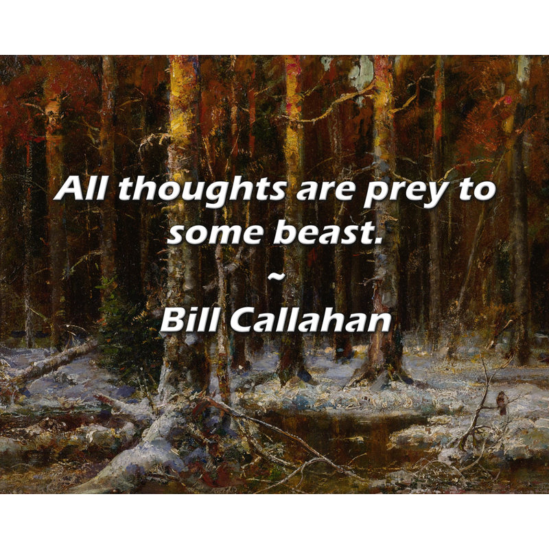 Bill Callahan Citation: Toutes les pensées sont la proie d'une bête.
