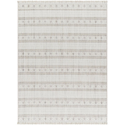 Southwestern Indoor Rug