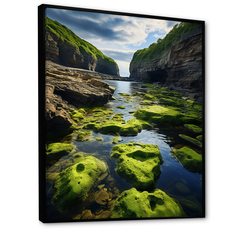 Ayoe Canada Coastal Serenity III - impression, H 32 po x l 24 po x P 1 po, Cadre flottant noir