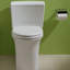 Maris Dual Flush Elongated Two-Piece Toilet (Seat Not Included)