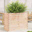 Amiela Planter Box-918828452-918828502