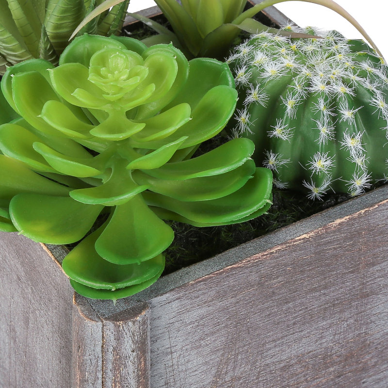 Ensemble de 2 plantes succulentes artificielles, 20 cm de hauteur, fausse verdure de table, pots en bois gris, décoration intérieure moderne