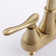 Centerset 2-handle Bathroom Faucet with Drain Assembly