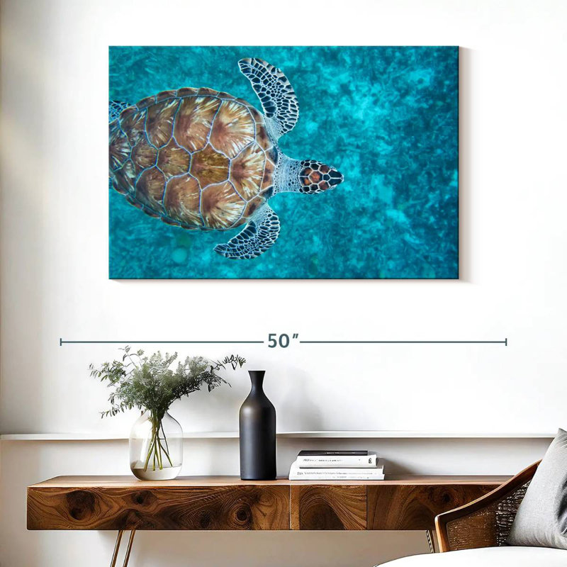 Swimming Hawksbill Sea Turtle, 26" H x 39" W