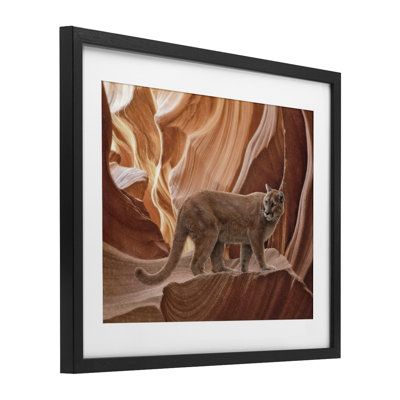 Cougar Canyon View Framed Print Under Glass, design by Collin Bogle