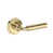 Unlacquered Brass