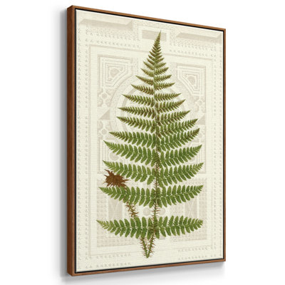 Garden Ferns V, reproduction d'art sur toile